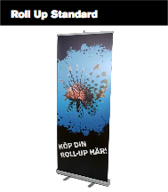 SF-Roll Up Standard